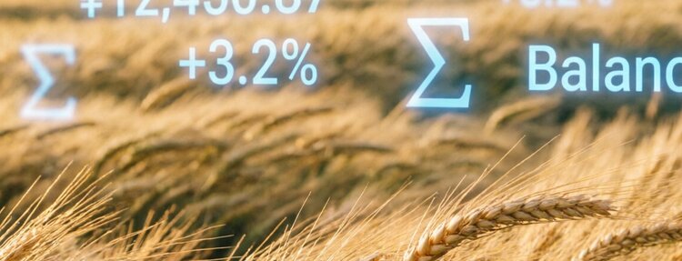 Бухгалтерский сельхозкооператив для фермеров появился в Челябинской области