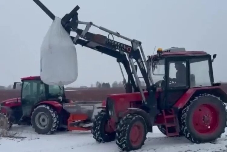 Томские ягодоводы получили свыше 30 млн рублей господдержки