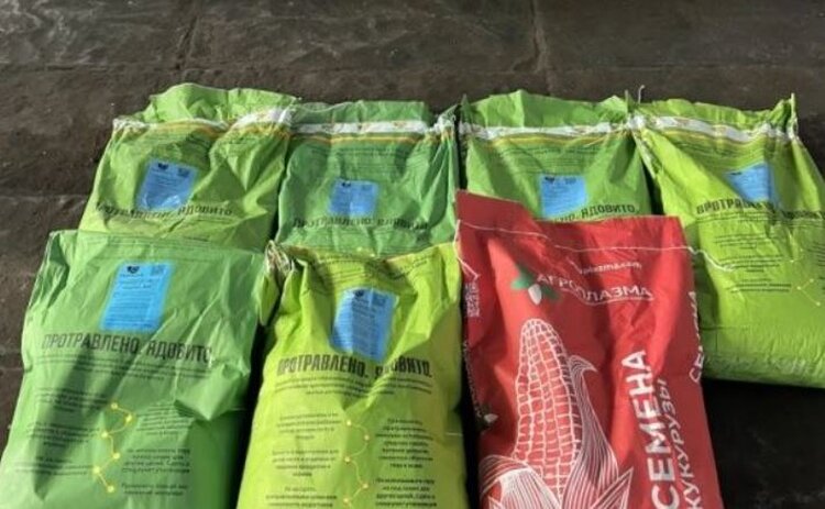 Демпосевы отечественной селекции в Богучарском районе снова будут зеленой витриной инноваций  - фото