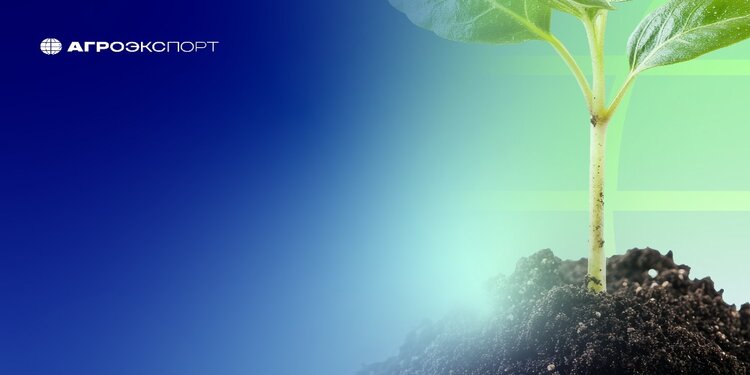 Россия увеличила поставки удобрений на мировой рынок на 16% в первом квартале 2026