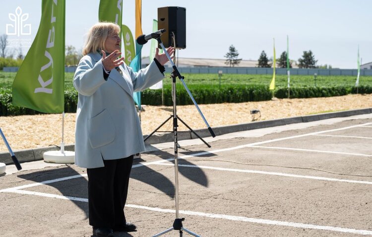 Тритикале укрепляет позиции в кормопроизводстве благодаря работе селекционеров НЦЗ имени Лукьяненко