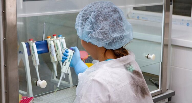 Впервые астраханские специалисты ЦОК АПК обнаружили карантинный бенивирус в партии импортной свеклы - фото