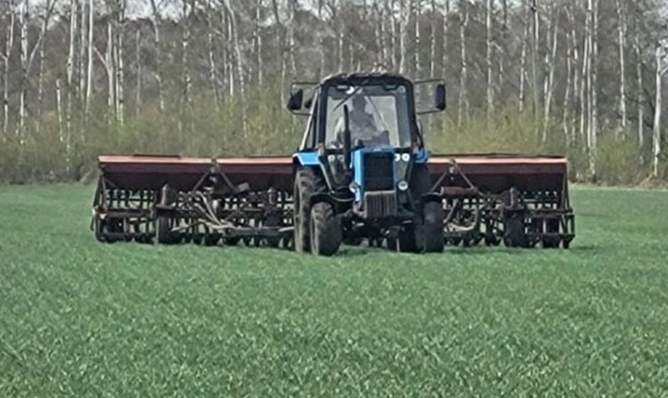 Посевную одновременно с уборочной ведут в Омском АНЦ: как собирают прошлогодний урожай