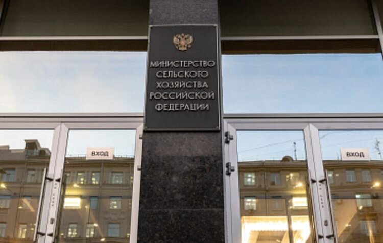 Развитие биржевых инструментов для АПК продолжается - фото