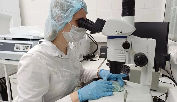 В живой рыбе из Волги нашли 5 видов паразитов