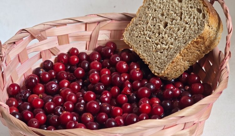 Новая эра хлебопечения: как ГОСТ на «Арктический» хлеб дарит вторую жизнь клюкве и северным мхам – ЦОК АПК - фото