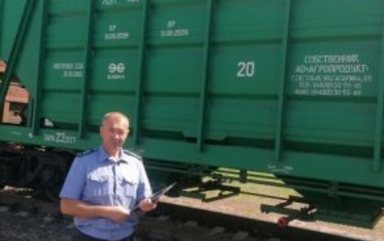 Казахстан стал закупаться продовольственной кукурузой в Курской области - фото