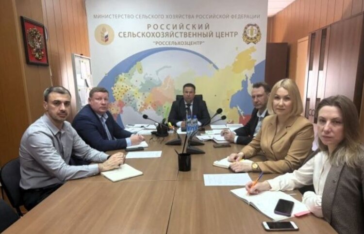 О перспективах выращивания субтропических культур в российском Причерноморье высказались эксперты - фото