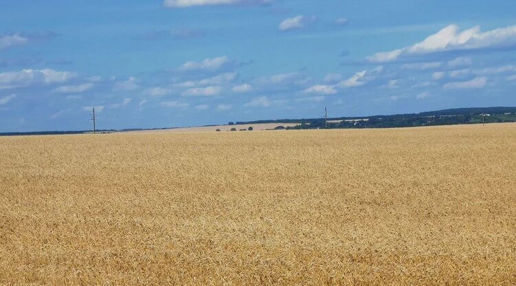 Поздравление с 9 мая – Днем Победы - от агропортала AGRO XXI - фото