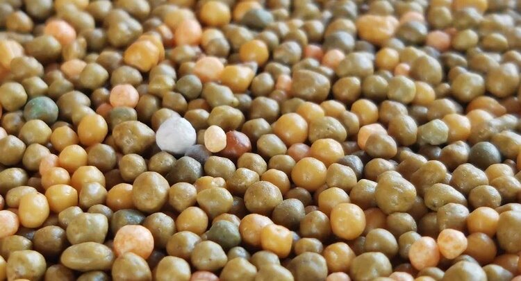 ЕвроХим представил специальное портфолио удобрений на Caspian Agro Week в Баку