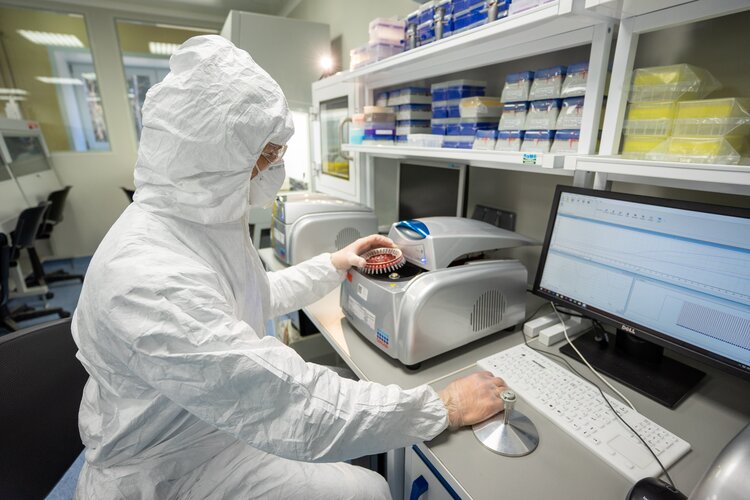Ученые ВНИИЗЖ создали молекулярно-генетический метод различения генотипов SAT‑1 и SAT‑IX вируса ящура
