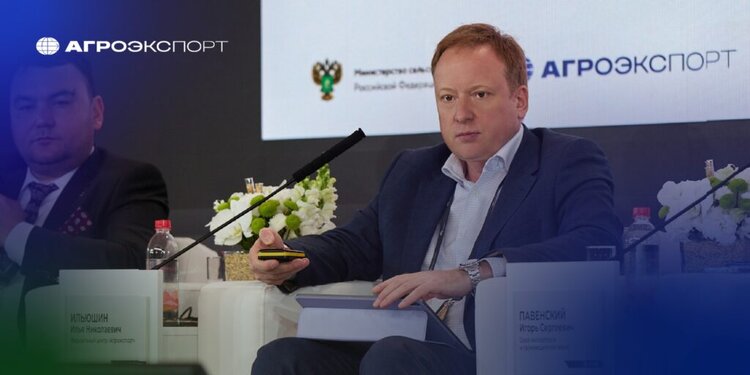 В зерновом сезоне 2025/26 Россия сможет экспортировать 61,8 млн тонн зерновых и зернобобовых