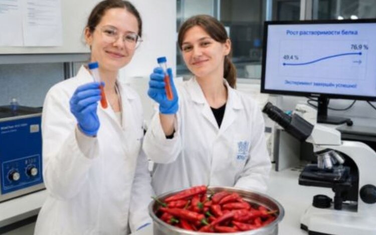 ЮУрГУ ученые преобразовали перцовые семена в суперпродукт