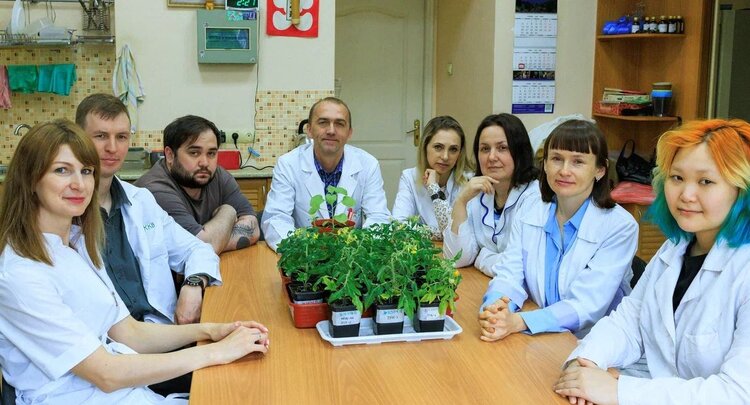 Ученые нашли экологичную замену химикатам для защиты томатов от опасного гриба - фото