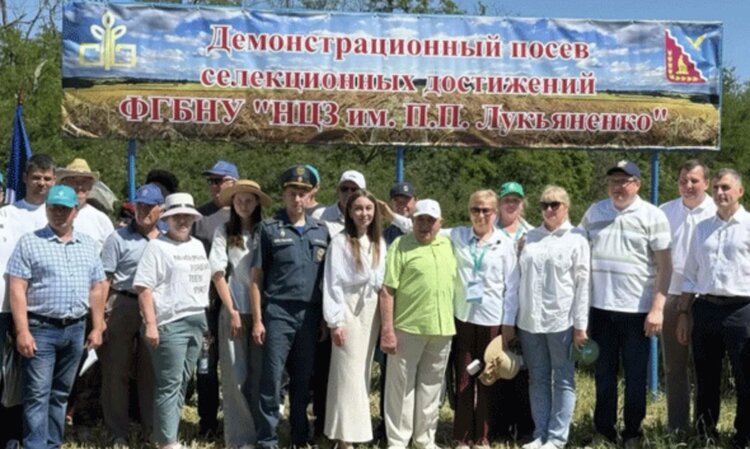 Новую пшеницу Донбасс, двуручку Копье и другие сорта представили на семинаре в Агрофирме «Медведовская» - фото