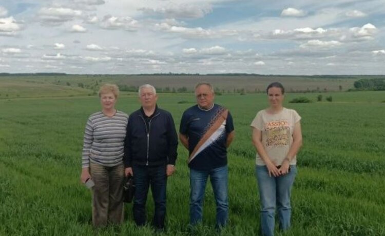 Органический овес и тыкву проверили в хозяйстве воронежского фермера - фото