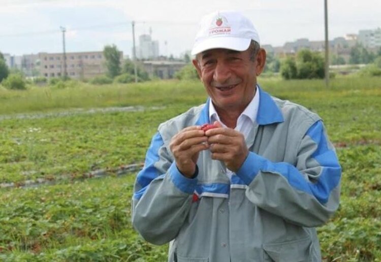 Производство ягодных чипсов запустят в Новгородской области