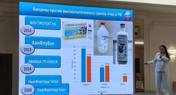 Российский опыт вакцинопрофилактики опасных вирусных болезней птиц представлен на международном форуме в Казахстане - фото