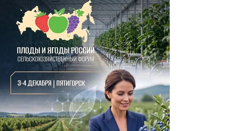 Форум «Плоды и ягоды России — 2026» соберет в Пятигорске представителей плодово-ягодной отрасли - фото