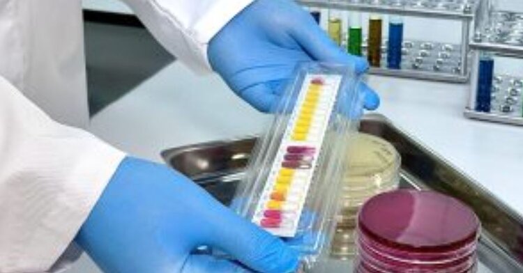Российские ветеринары получат тест-планшеты для определения минимальной подавляющей концентрации антибиотиков