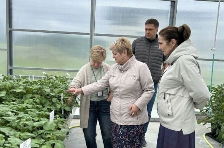 ООО «Дока-Генные Технологии» успешно подтверждает статус семеноводческого хозяйства