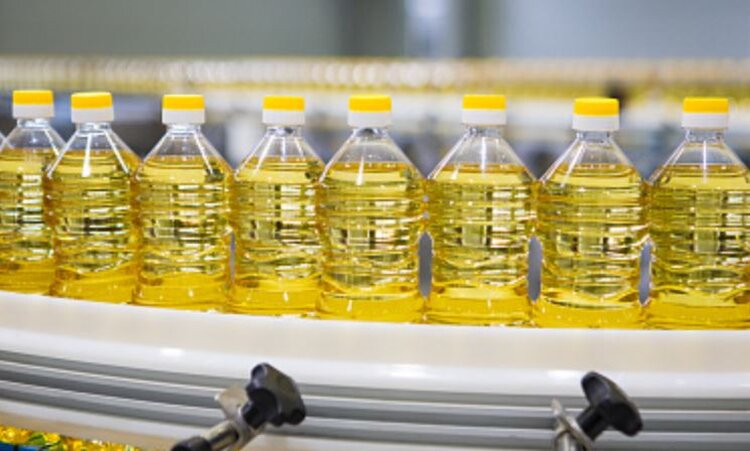 Россия увеличивает производство растительных масел и расширяет экспортные поставки