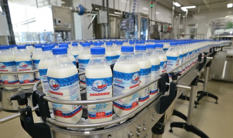 Ростовский пищепром полностью обеспечивает область качественной продукцией