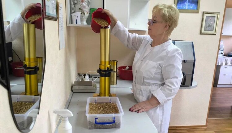 В Россельхозцентре оценили качество зерна нового урожая на Донбассе
