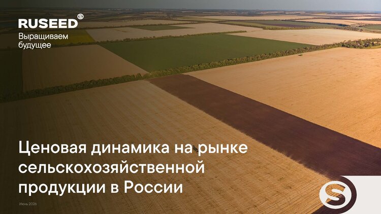 Рейтинг цен на урожай: какие культуры подорожали больше всего