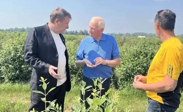 Шоковую заморозку ягод прямо в поле показали на семинаре по жимолости