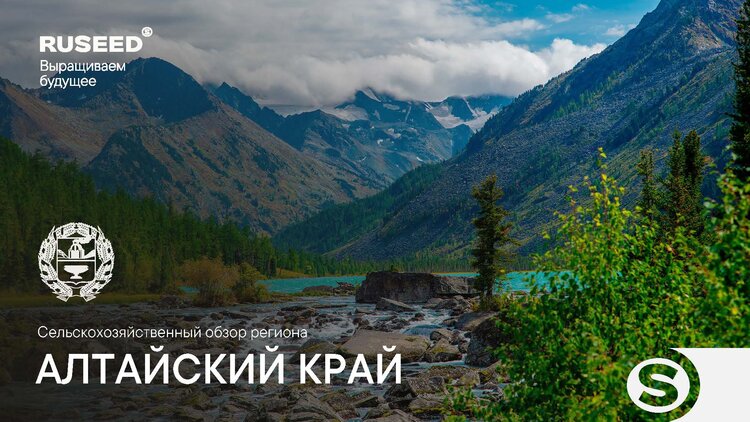 Аналитический центр RUSEED представляет обзор сельского хозяйства Алтайского края - фото