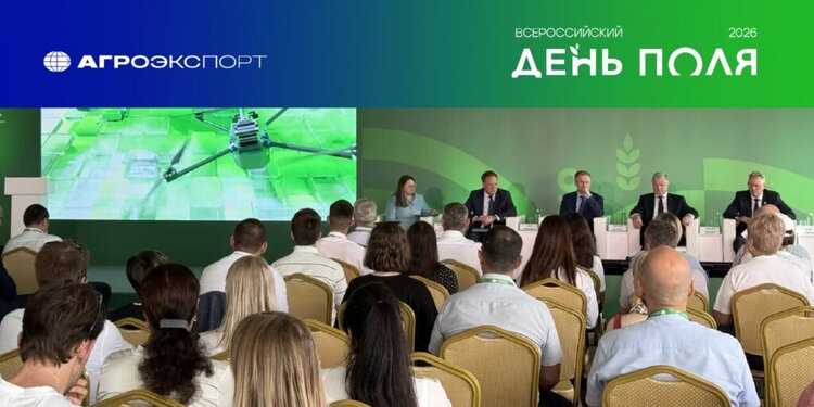 Экспортный потенциал регионов СФО рассмотрели на Всероссийском дне поля-2026 