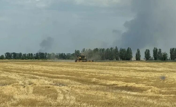 Юрист по образованию, агроном по призванию. Как в Запорожской области под обстрелами живет и развивается семейное хозяйство  - фото