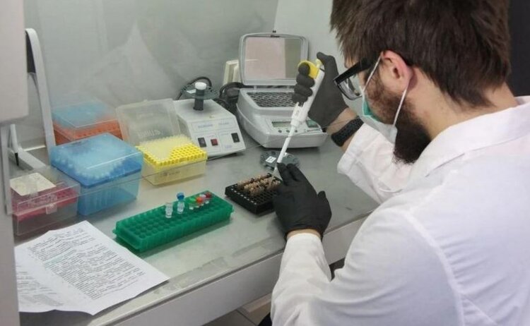 Интересные разработки с цифровизацией для ветеринарии от студентов УрГАУ - фото