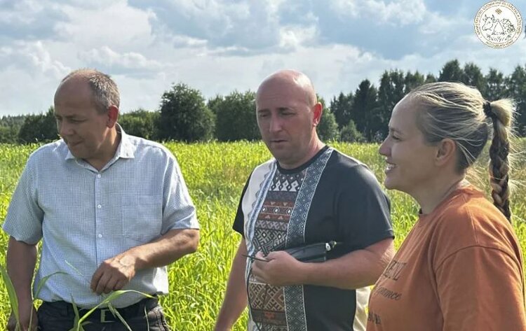 Одно из ведущих молочных предприятий Коми отказалось от вико-овсяных смесей в пользу других надойных культур