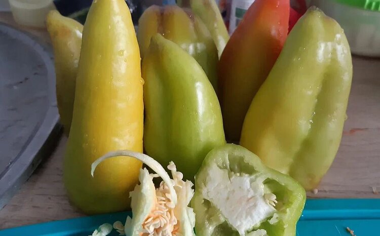 Простой и вкусный рецепт фаршированных перцев для заморозки в холодильнике - фото