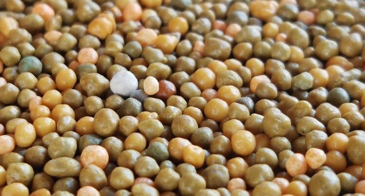 Глава Тульской области познакомился с инновационными продуктами ЕвроХима