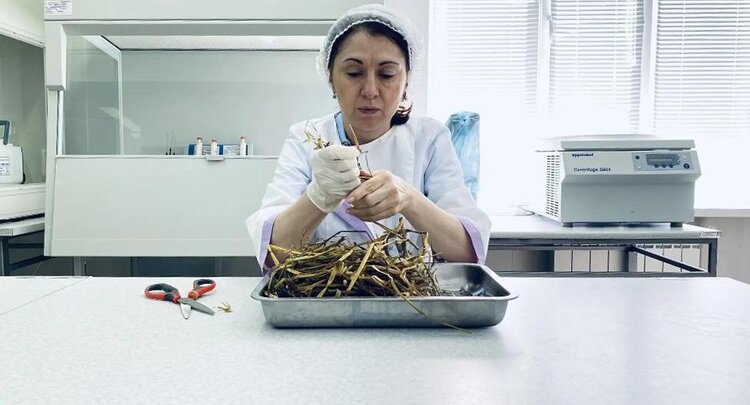 В филиале ЦОК АПК в Кабардино-Балкарии обнаружили несоответствие качества сена сразу по 2 основным параметрам - фото