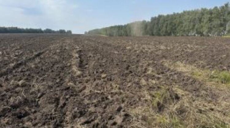 В Орловской области с начала текущего года ввели в оборот свыше 7 тысяч гектаров при участии Россельхознадзора