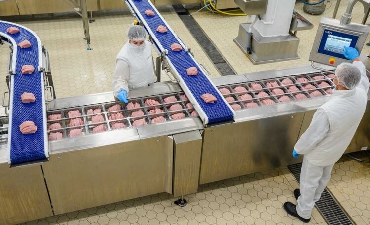 Дамате в Ростовской области наращивает производство продукции из мяса индейки - фото