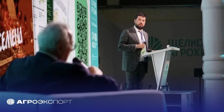 Экспорт семян российской селекции: текущая ситуация и перспективы - фото