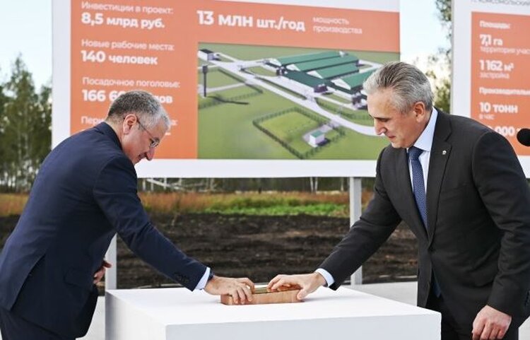 Дамате удваивает мощность племенного репродуктора индейки в Тюменской области - фото