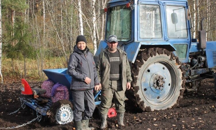 Первые карельские производители чеснока собрали первый урожай