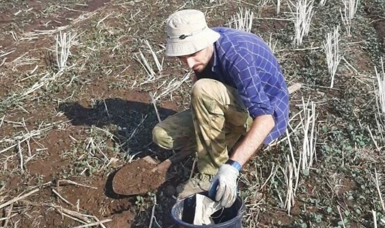 45 хозяйств Ставрополья получат агрохимический план повышения плодородия почв
