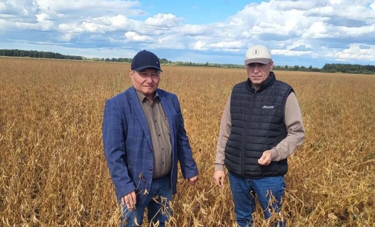 «Омский» племенной конезавод успешно занимается соеводством