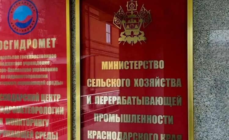 Экспорт Кубанского зерна сейчас практически остановлен. Аграриям помогут с закупкой семян для озимого сева - фото
