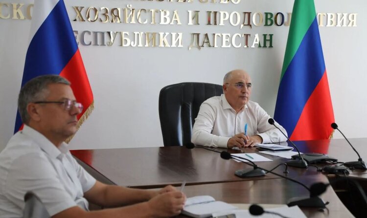 В Дагестане под озимые культуры на урожай 2027 года отвели 93 тысячи гектаров