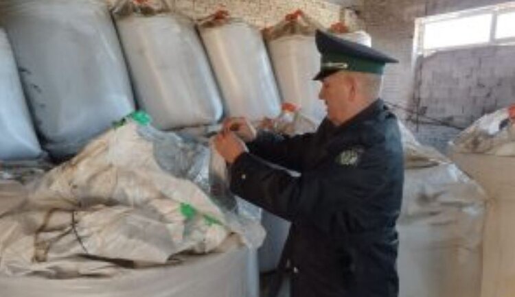 На 25% больше отправила Башкирия зерна в другие российские регионы