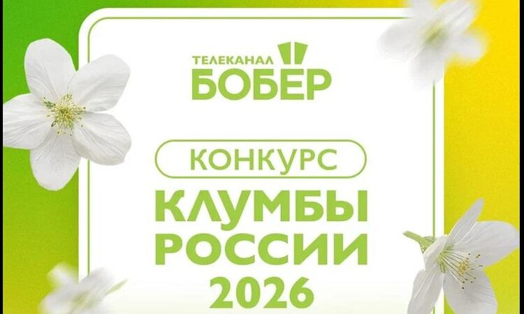 Телеканал «Бобёр» запустил народное голосование Всероссийского конкурса «Клумбы России 2026» - фото