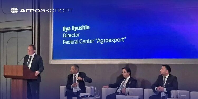 Россия может существенно увеличить производство муки, если потребуется внешним рынкам